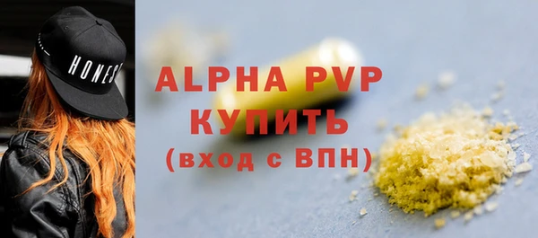 прущие грибы Новодвинск