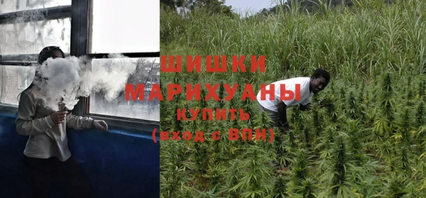 прущие грибы Новодвинск