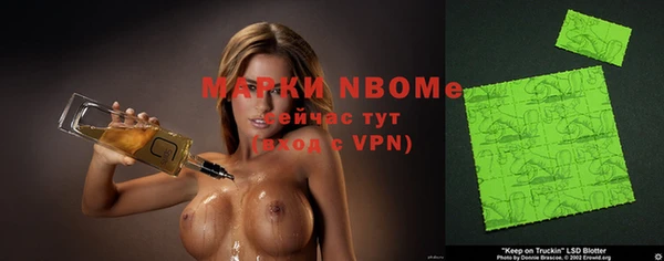 прущие грибы Новодвинск