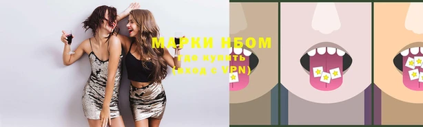 прущие грибы Новодвинск