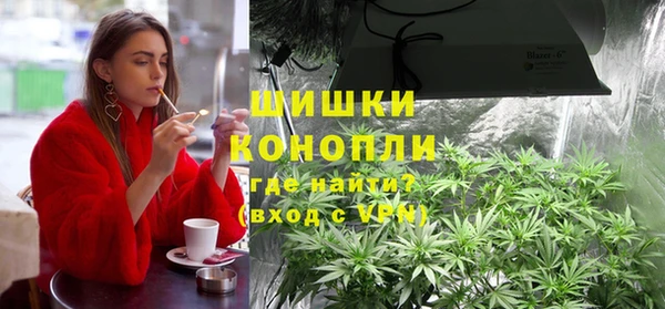 прущие грибы Новодвинск