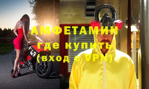 прущие грибы Новодвинск