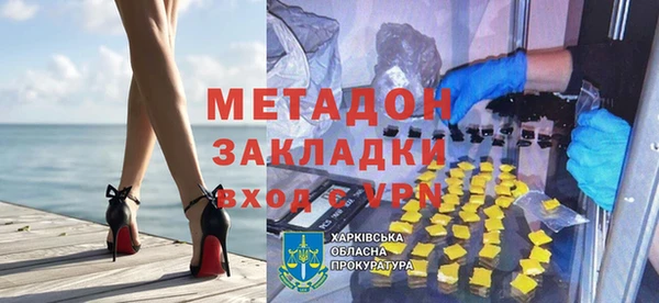 прущие грибы Новодвинск