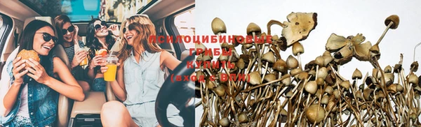 Альфа ПВП Новокубанск