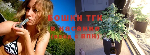 прущие грибы Новодвинск