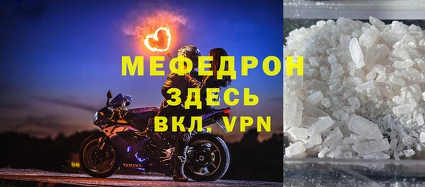 прущие грибы Новодвинск