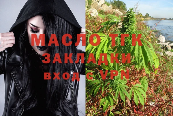 прущие грибы Новодвинск