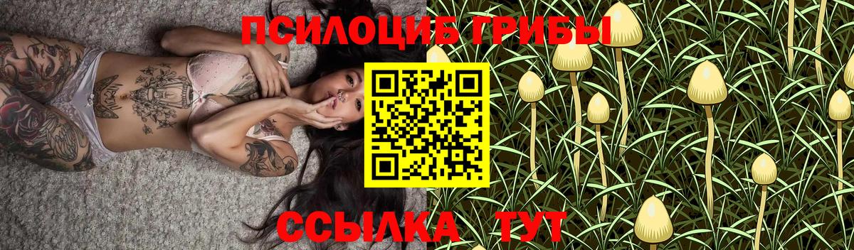 Корсаков  Псилоцибиновые грибы прущие грибы  Вход с VPN 