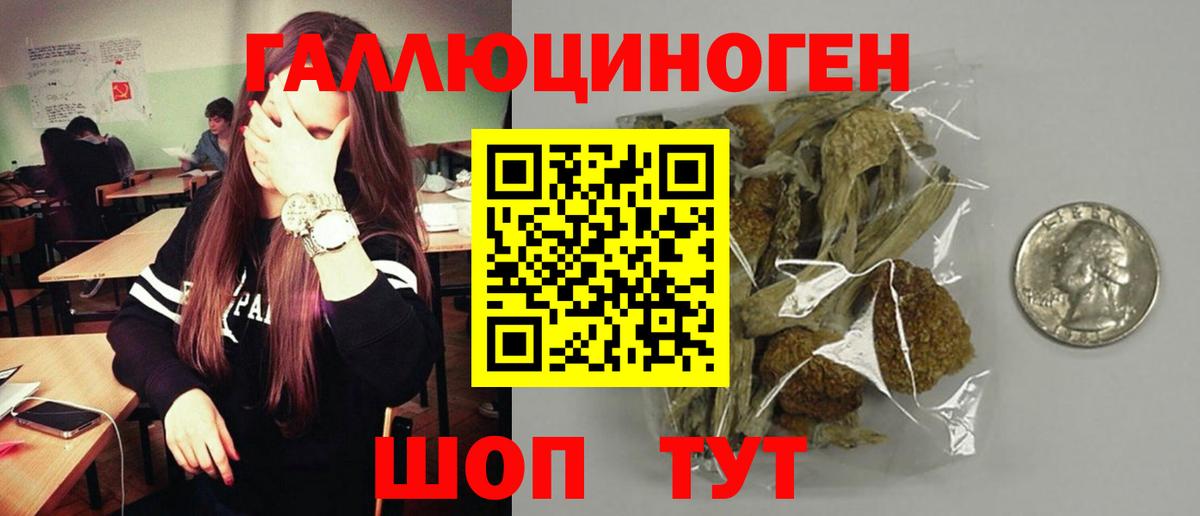 Галлюциногенные грибы MAGIC MUSHROOMS Корсаков
