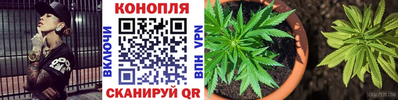 Конопля Amnesia  Корсаков 